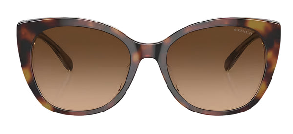 Coach Womens CH566 Polarized Sunglasses - Tortoise Beige/Brown Gradient