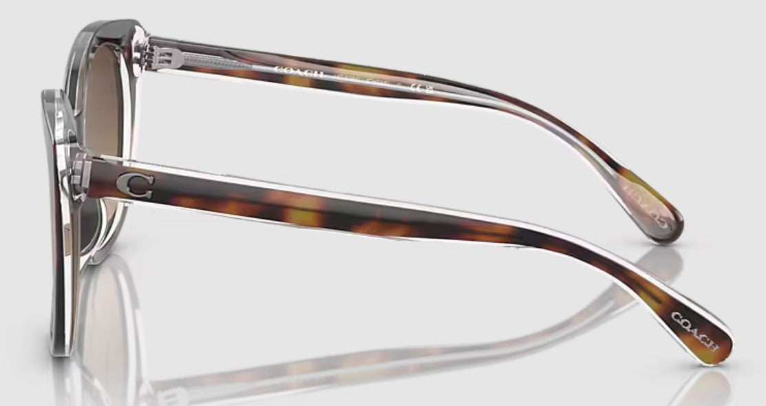 Coach Womens CH566 Polarized Sunglasses - Tortoise Beige/Brown Gradient