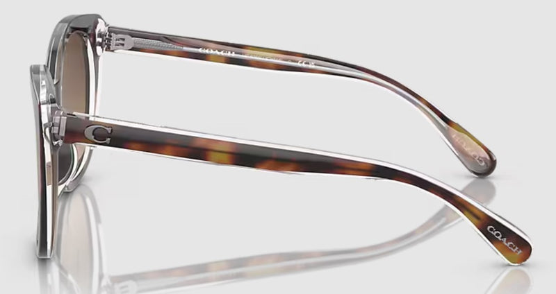 Coach Womens CH566 Polarized Sunglasses - Tortoise Beige/Brown Gradient