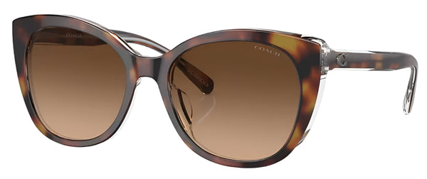 Coach Womens CH566 Polarized Sunglasses - Tortoise Beige/Brown Gradient
