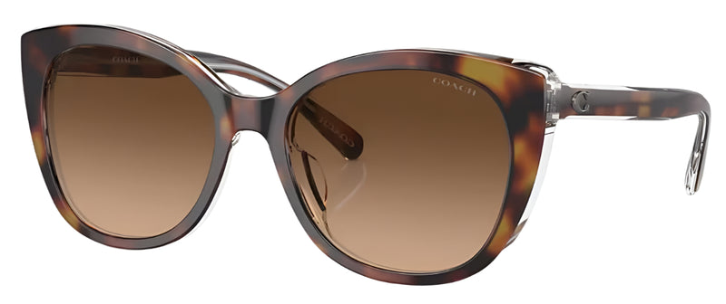 Coach Womens CH566 Polarized Sunglasses - Tortoise Beige/Brown Gradient