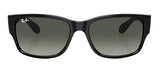 Ray-Ban RB4388 Polarized Sunglasses - Black/Grey Gradient