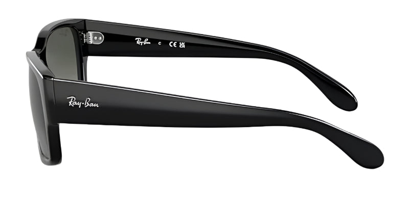 Ray-Ban RB4388 Polarized Sunglasses - Black/Grey Gradient