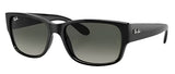 Ray-Ban RB4388 Polarized Sunglasses - Black/Grey Gradient
