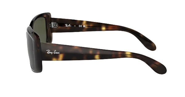 Ray-Ban Women's RB4389 Non-Polarized Sunglasses - Havana/Green