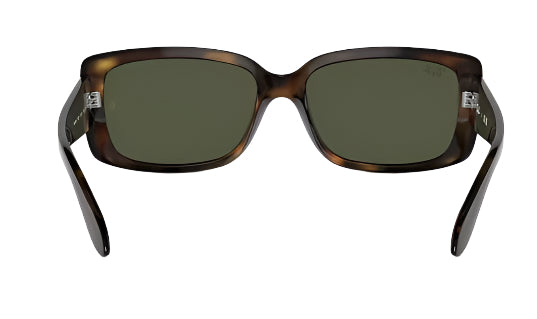 Ray-Ban Women's RB4389 Non-Polarized Sunglasses - Havana/Green