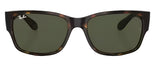 Ray-Ban RB4388 Polarized Sunglasses - Polished Havana/Green