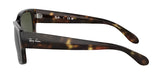 Ray-Ban RB4388 Polarized Sunglasses - Polished Havana/Green