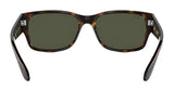 Ray-Ban RB4388 Polarized Sunglasses - Polished Havana/Green
