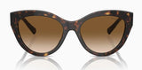 Tiffany & Co. Women's TF4220 Polarized Sunglasses - Havana/Clear Brown Gradient