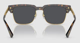 Versace Men's VE4447 Non-Polarized Sunglasses - Havana/Dark Grey