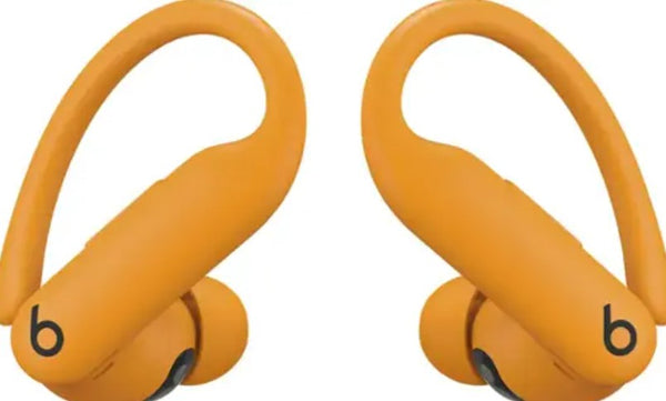 Apple Beats Powerbeats Pro 2 True Wireless Active Noise Cancelling Earbuds