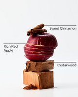 Bath & Body Works Wallflowers Refills 2-Pack - Tis The Season