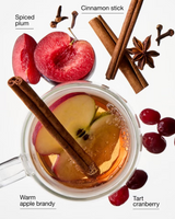 Bath & Body Works Wallflowers Refills 2-Pack - Spiced Apple Toddy