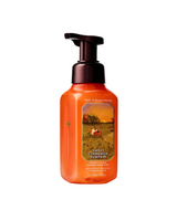 Bath & Body Works Gentle & Clean Foaming Hand Soap - Sweet Cinnamon Pumpkin
