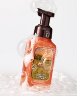 Bath & Body Works Gentle & Clean Foaming Hand Soap - Sweet Cinnamon Pumpkin