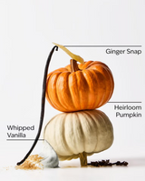 Bath & Body Works Gentle & Clean Foaming Hand Soap - Sweet Cinnamon Pumpkin