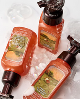 Bath & Body Works Gentle & Clean Foaming Hand Soap - Sweet Cinnamon Pumpkin