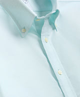Brooks Brothers Mens Non-Iron Oxford Button-Down Collar Sport Shirt