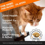 Pet Honesty Hip & Joint Supplement Chews For Cats - Chicken Flavor - 3.7 oz.