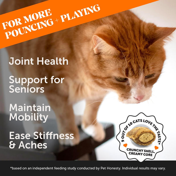 Pet Honesty Hip & Joint Supplement Chews For Cats - Chicken Flavor - 3.7 oz.