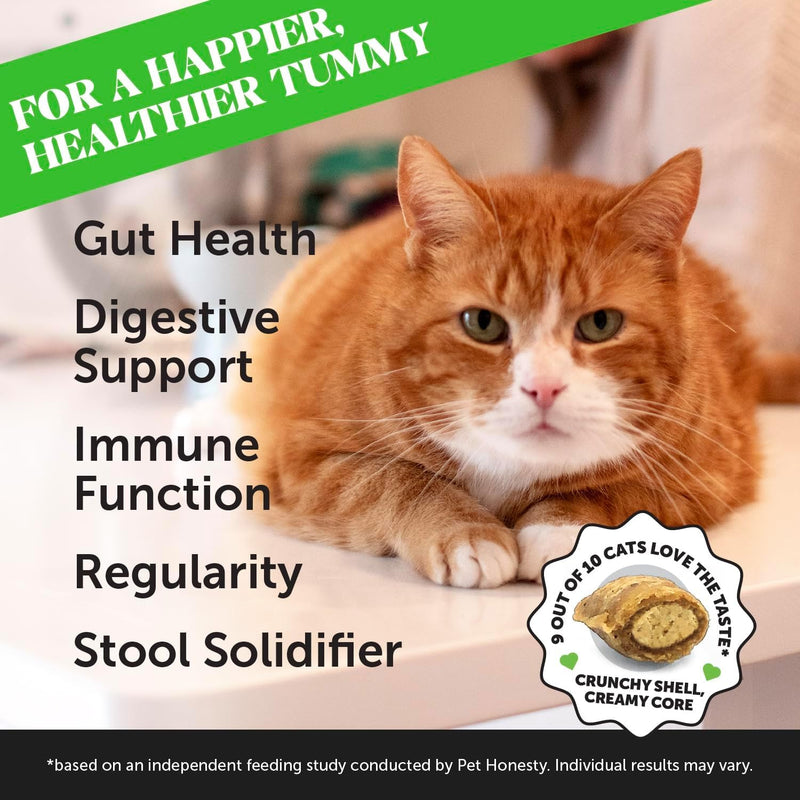 Pet Honesty Probiotics Gut & Immune Health Supplement For Cats - Chicken Flavor - 3.7 oz.