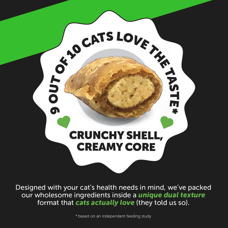 Pet Honesty Probiotics Gut & Immune Health Supplement For Cats - Chicken Flavor - 3.7 oz.