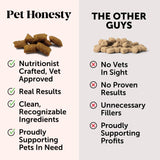 Pet Honesty Probiotics Gut & Immune Health Supplement For Cats - Chicken Flavor - 3.7 oz.