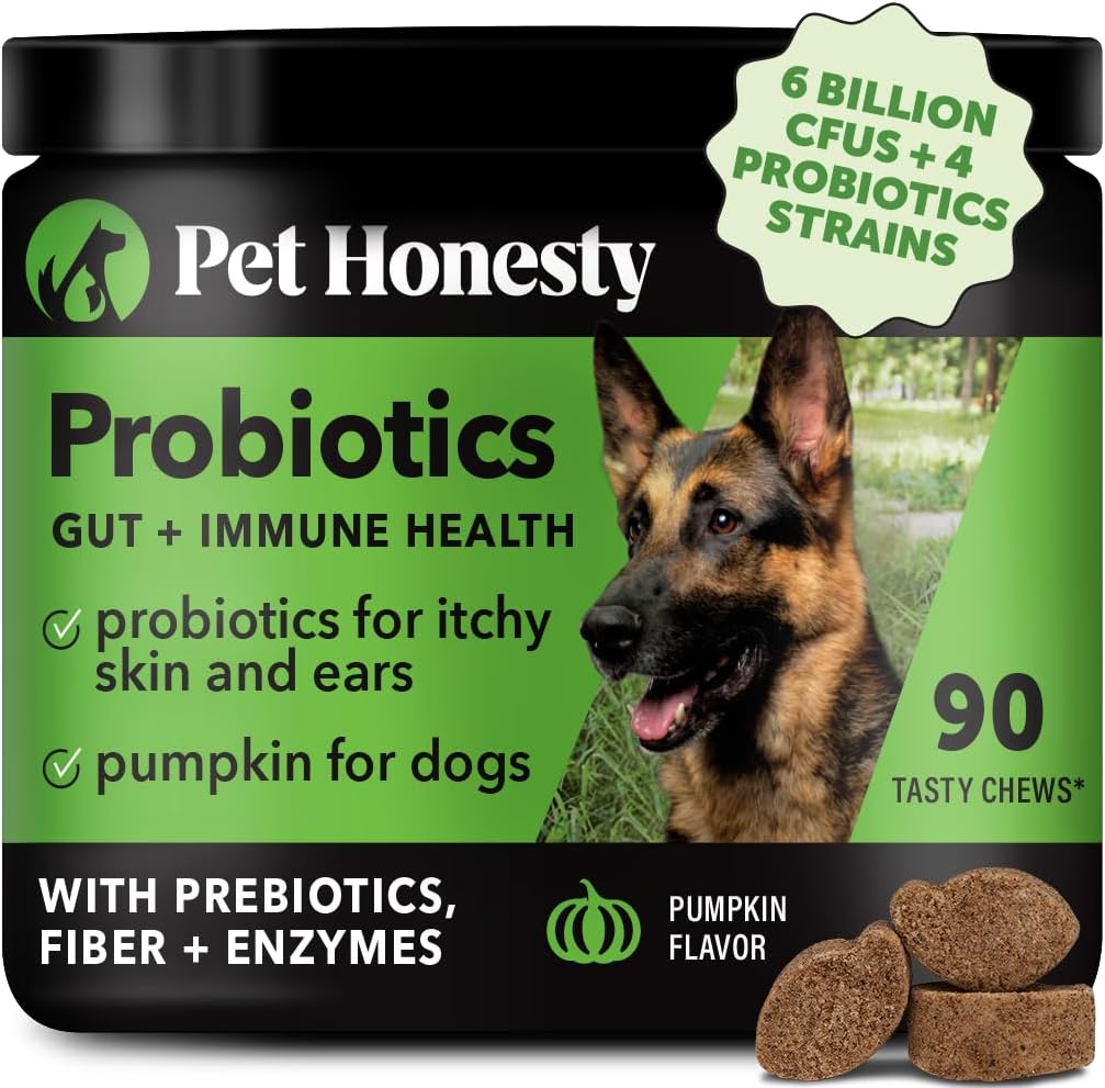 Pet Honesty Digestive Probiotics Chews For Dogs - Pumpkin Flavor - 9.5 oz.