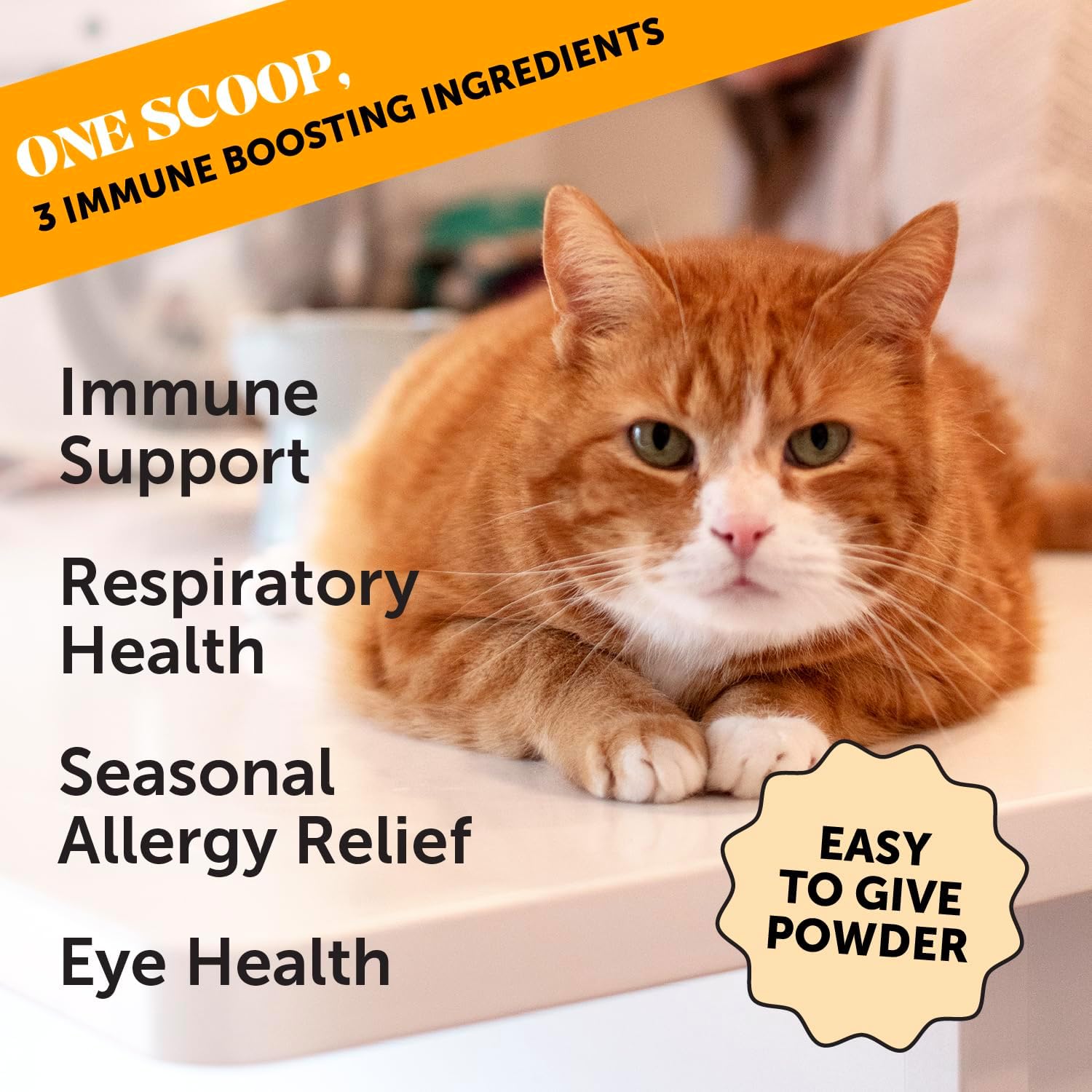 Pet Honesty Immune Health Lysine For Cats - Chicken & Tuna Flavor - 4.2 oz.