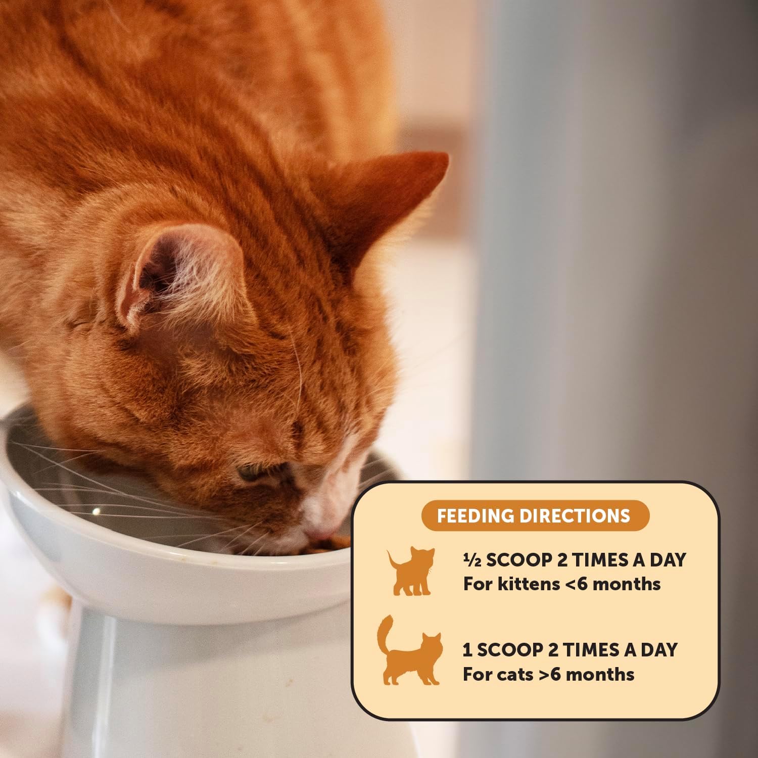 Pet Honesty Immune Health Lysine For Cats - Chicken & Tuna Flavor - 4.2 oz.