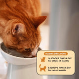 Pet Honesty Immune Health Lysine For Cats - Chicken & Tuna Flavor - 4.2 oz.