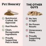 Pet Honesty Immune Health Lysine For Cats - Chicken & Tuna Flavor - 4.2 oz.