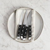 Henckels Statement 4-Piece Steak Knife Set