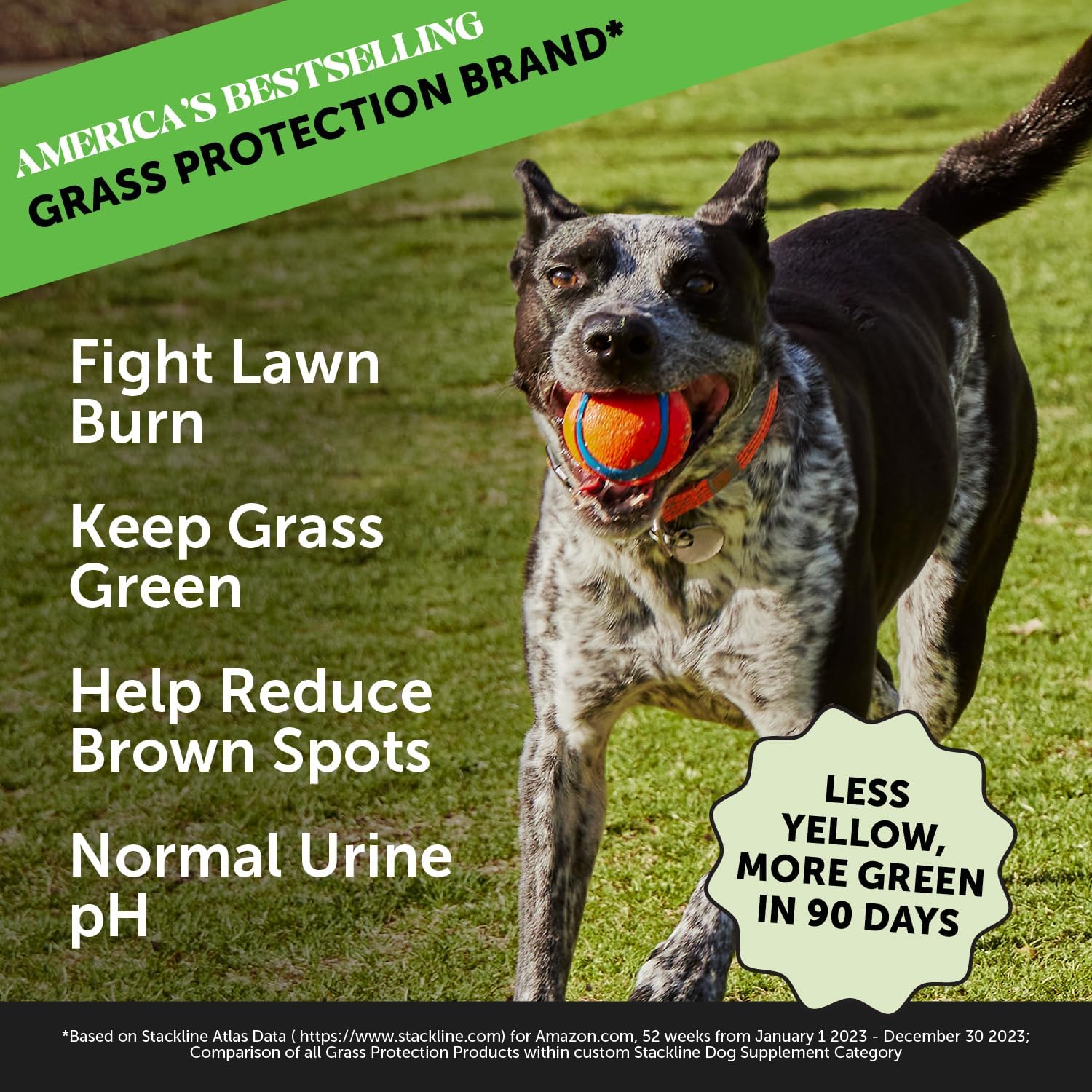 Pet Honesty Grass Green Chews For Dogs - Duck Flavor - 9.5 oz.