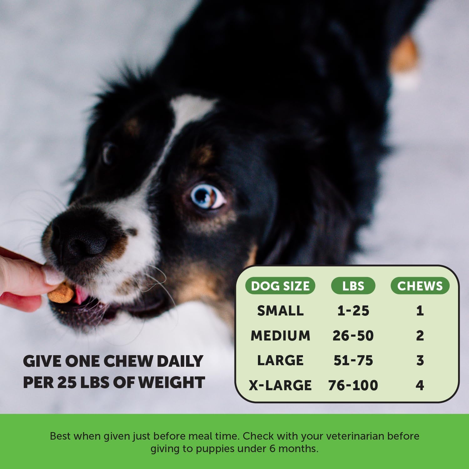 Pet Honesty Grass Green Chews For Dogs - Duck Flavor - 9.5 oz.