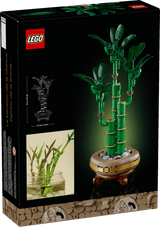 LEGO Botanicals Lucky Bamboo