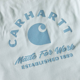 Carhartt Mens Irvine Relaxed Work Short Sleeve T-Shirt