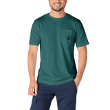 Carhartt Mens Irvine Relaxed Work Short Sleeve T-Shirt