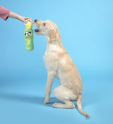 BARK Flingles Can Plush Dog Toy - 2 pc.