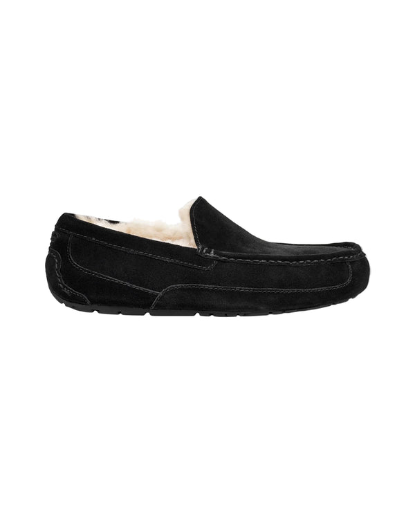 Ugg Men's Ascot Slipper