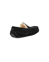 Ugg Men's Ascot Slipper