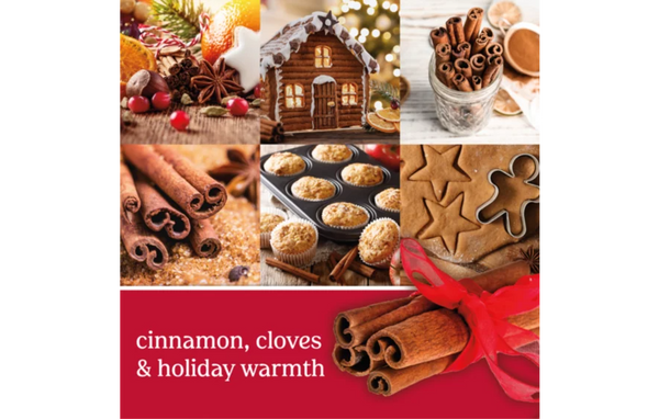 Yankee Candle ScentPlug Refill - Sparkling Cinnamon