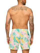 Chubbies Mens The Baja Breezes 5.5" Classic Swim Trunks