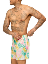 Chubbies Mens The Baja Breezes 5.5" Classic Swim Trunks