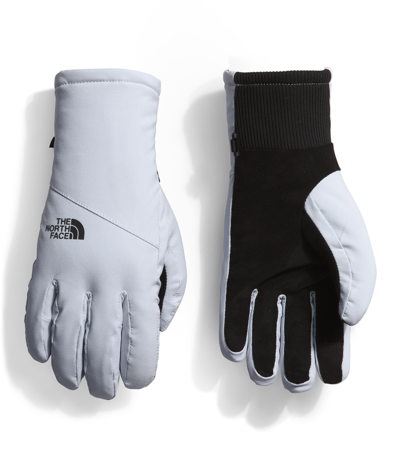 The North Face Womens Shelbe Raschel Etip Gloves