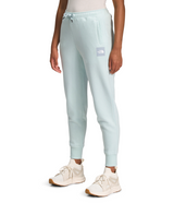 The North Face Womens Box NSE Jogger Pants