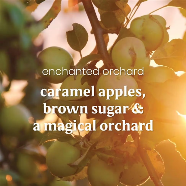 Yankee Candle ScentPlug Refill - Enchanted Orchard