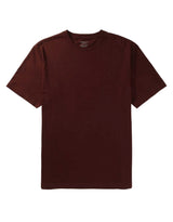 American Eagle Mens Icon Crew Core Short Sleeve T-Shirt