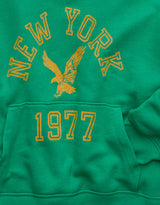 American Eagle Womens AE Campus Hoodie Sweatshirt